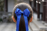 拔萃女小学宝蓝色大蝴蝶结发圈(BS1689)