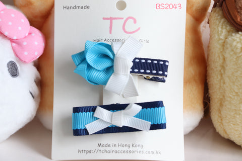 维多利亚幼稚园头夹优惠套装(BS2043)
