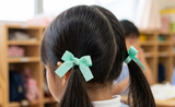 Classic Hair Ties for Learning Habitat Kindergarten (BS1699)