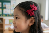 School Hair Accessories in Burgundy (BS1301-BS1303)