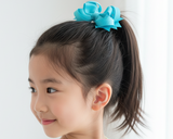 School Hair Accessories, Navy/ Royal Blue/ Light Blue/ DGJS (BS821-BS823)