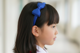宝蓝色拔萃女小学头箍 (BSQ200-BSQ203)